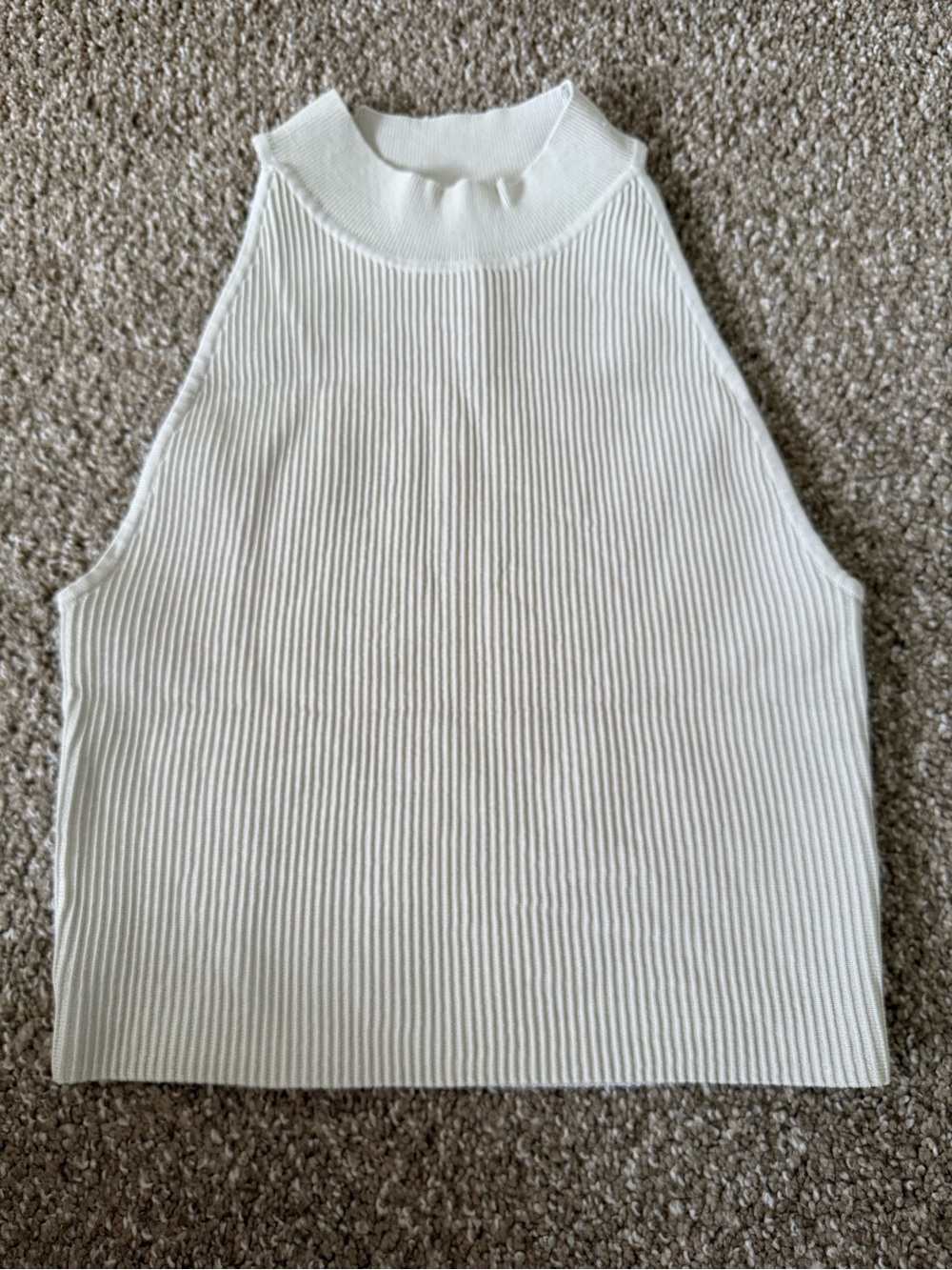 BABATON - Aritzia Sleeveless Ribbed Mock Neck Tank Top - White